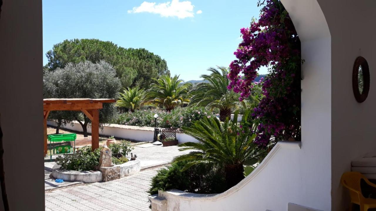 Villa Cristalda Vieste Buitenkant foto